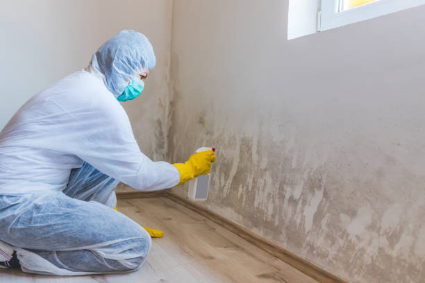 Licensed Mold Testing service in Garrett, PA - WQB Mold Removal
