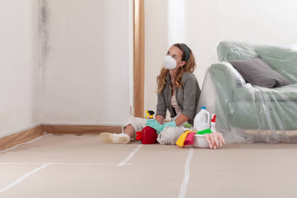 Reliable Mold Testing contractor in Garrett, PA by WQB Mold Removal